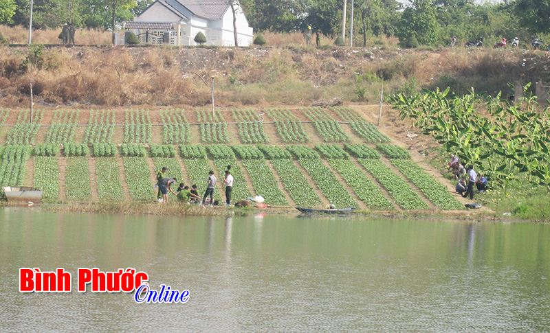 Phát hiện xác chết trên hồ Suối Cam