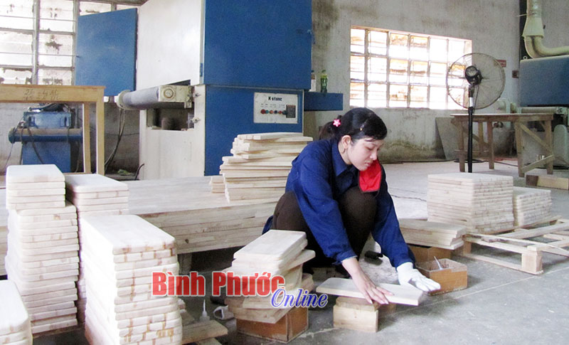 Chế biến gỗ ở Công ty cổ phần Gỗ Đồng Phú