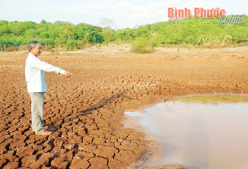 Triển khai hoạt động tư vấn khám, chữa bệnh từ xa