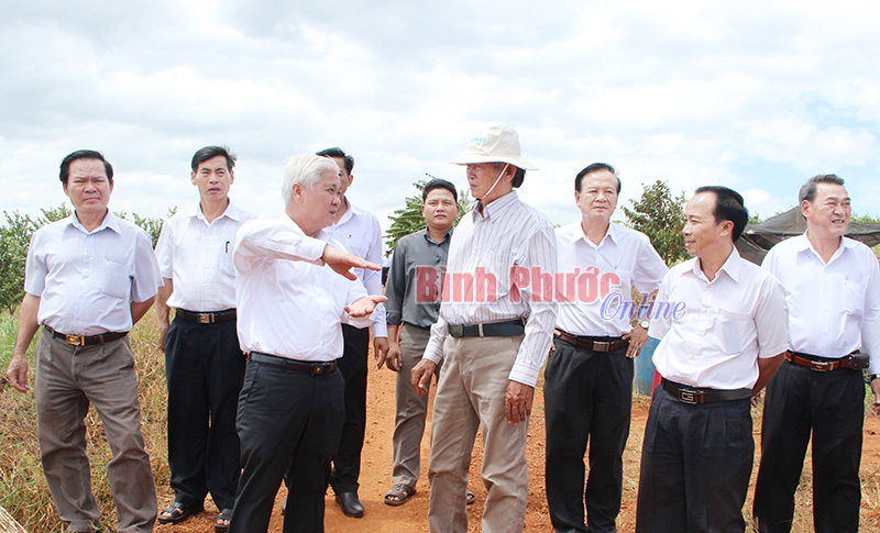 Lãnh đạo tỉnh, thị xã Phước Long và một số sở, ngành kiểm tra thực tế xây dựng nông thôn mới tại xã Phước Tín