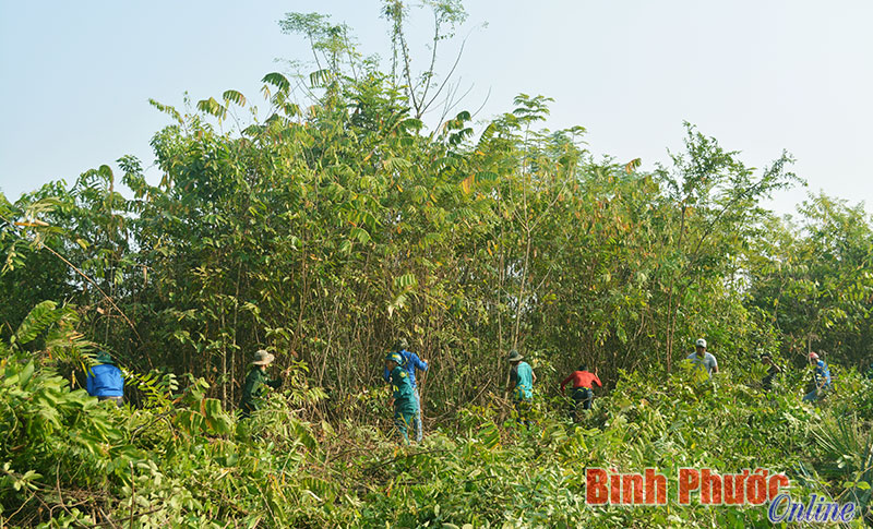 C&aacute;c lực lượng t&iacute;ch cực ph&aacute;t quang đường tuần tra bi&ecirc;n giới