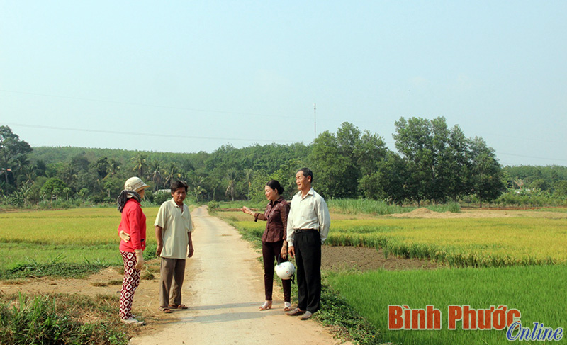Đường b&ecirc; t&ocirc;ng từ ng&atilde; ba khu phố Sơn Long được l&agrave;m theo phương ch&acirc;m "Nh&agrave; nước v&agrave; nh&acirc;n d&acirc;n c&ugrave;ng l&agrave;m"