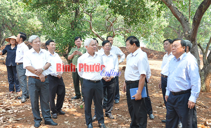 B&iacute; thư Tỉnh ủy Nguyễn Văn Lợi v&agrave; c&aacute;c th&agrave;nh vi&ecirc;n trao đổi với &ocirc;ng V&otilde; H&ugrave;ng Chiến về c&aacute;ch trồng v&agrave; chăm s&oacute;c điều cho năng suất cao - Ảnh: L.Phương