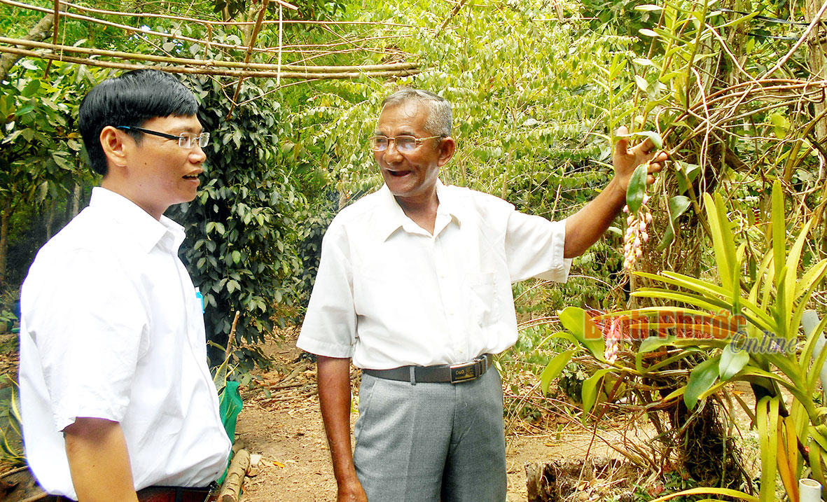 Ông Vương Ngọc Chánh Tâm giới thiệu cách chăm sóc lan để cho hoa nở theo ý muốn
