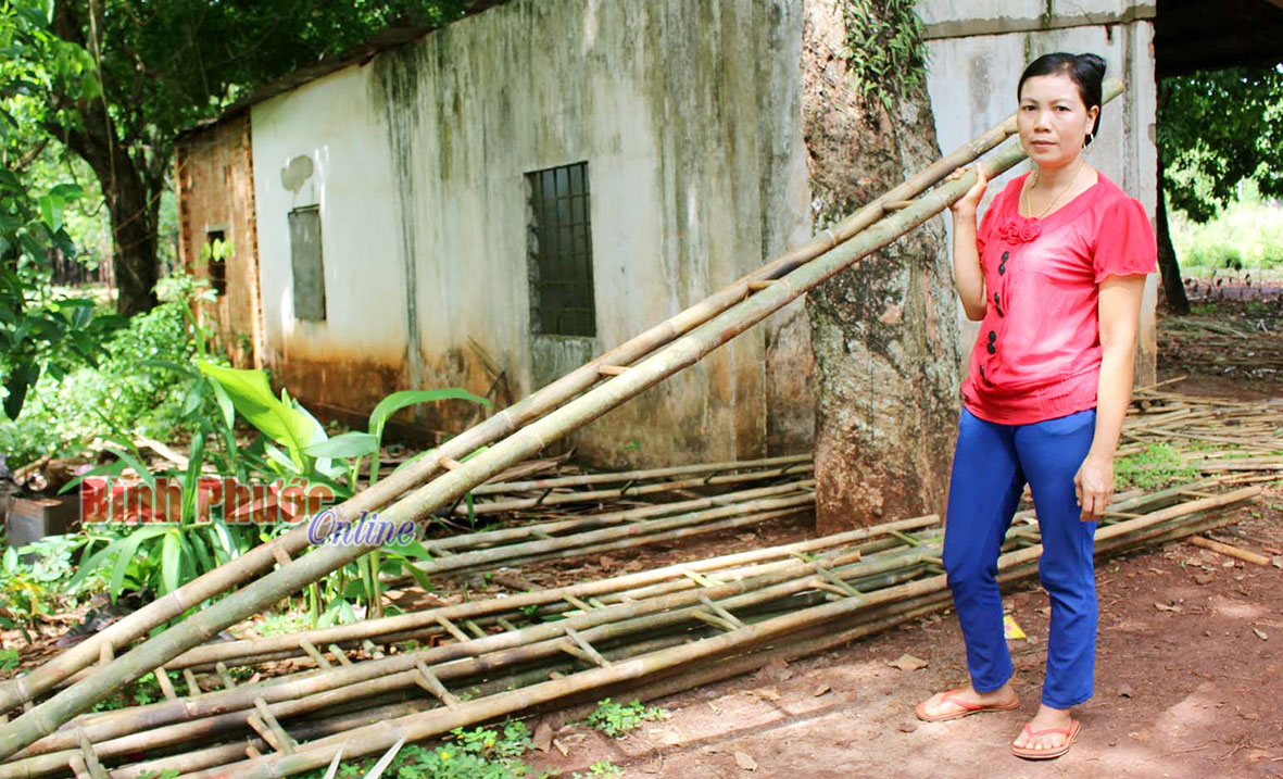 Chị Điểu Thị Hiệp, chủ cơ sở cho biết, mỗi chiếc thang bằng tầm vông được bán với giá từ 150-200 ngàn đồng