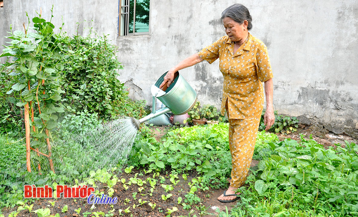 Từ mảnh đất trống của hàng xóm, bà Đồng Thị Chi ở phường Tân Phú đã có vườn rau đủ loại cho gia đình 