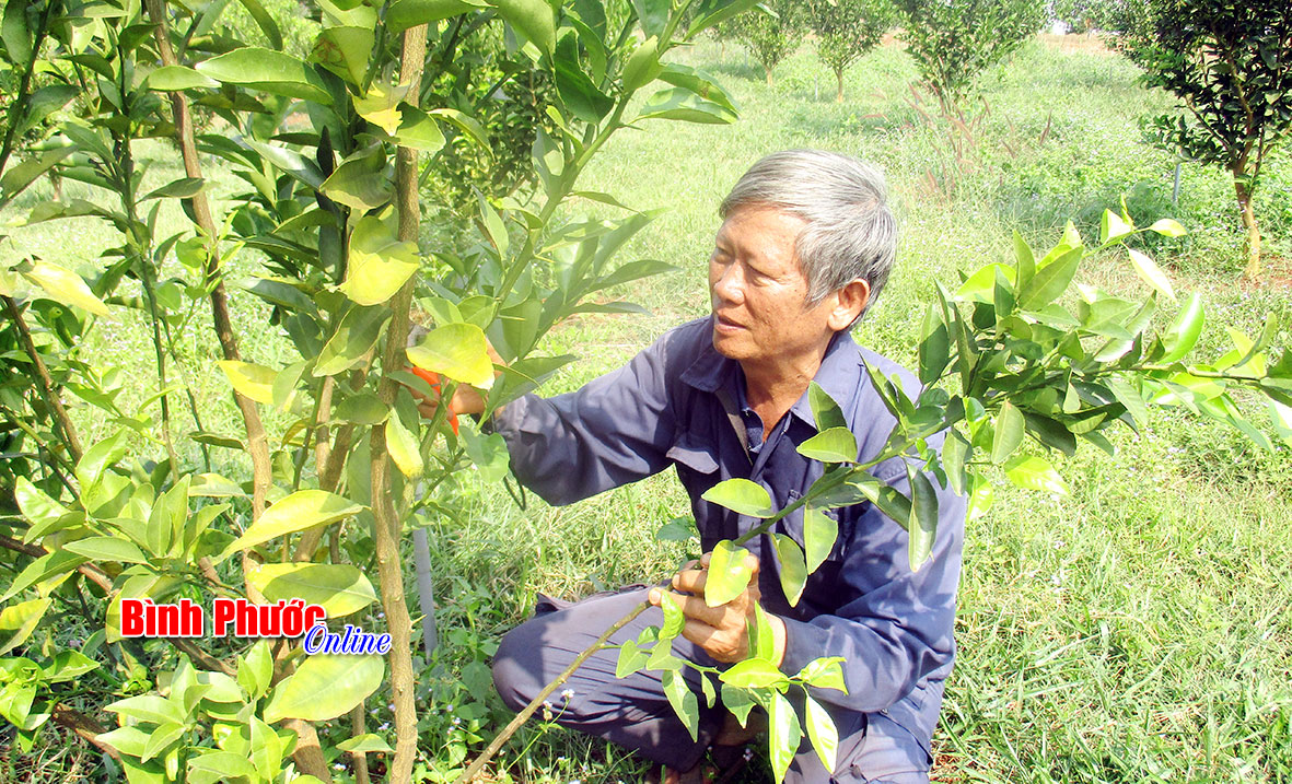 Đồng Xoài, Phước Long đã có mưa