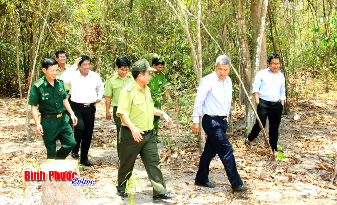 Kiểm tra phòng, chống cháy rừng tại huyện Lộc Ninh