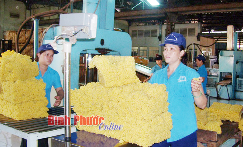 Gi&aacute; mủ cao su tăng nhưng doanh nghiệp kh&ocirc;ng c&ograve;n h&agrave;ng b&aacute;n
