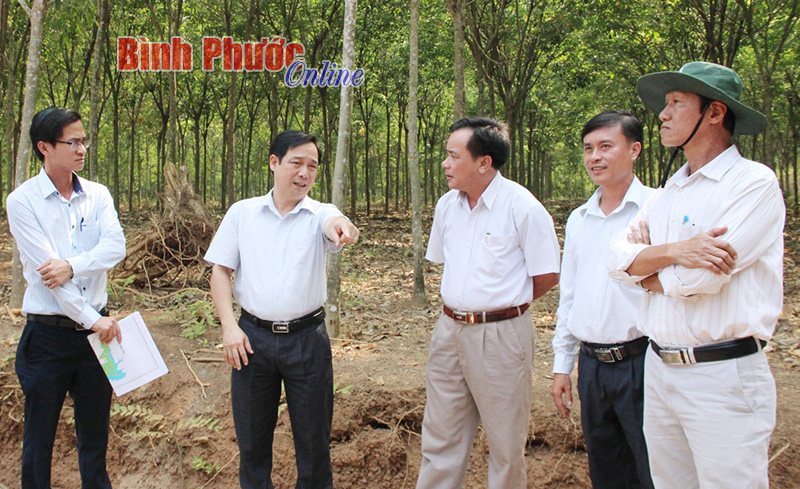 B&iacute; thư Huyện ủy L&ecirc; Ho&agrave;ng L&acirc;m (thứ 2 từ tr&aacute;i qua) kiểm tra tiến độ thực hiện n&ocirc;ng th&ocirc;n mới tại x&atilde; Thanh B&igrave;nh