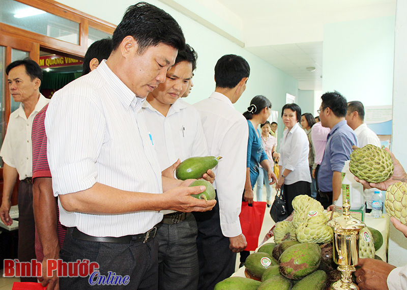 Bơ sáp Mã Dưỡng tham gia hội chợ trái cây mang đến lựa chọn mới cho nông dân Bình Phước