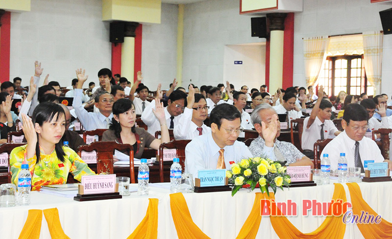 Các đại biểu dự kỳ họp thứ 13 HĐND tỉnh khóa VIII