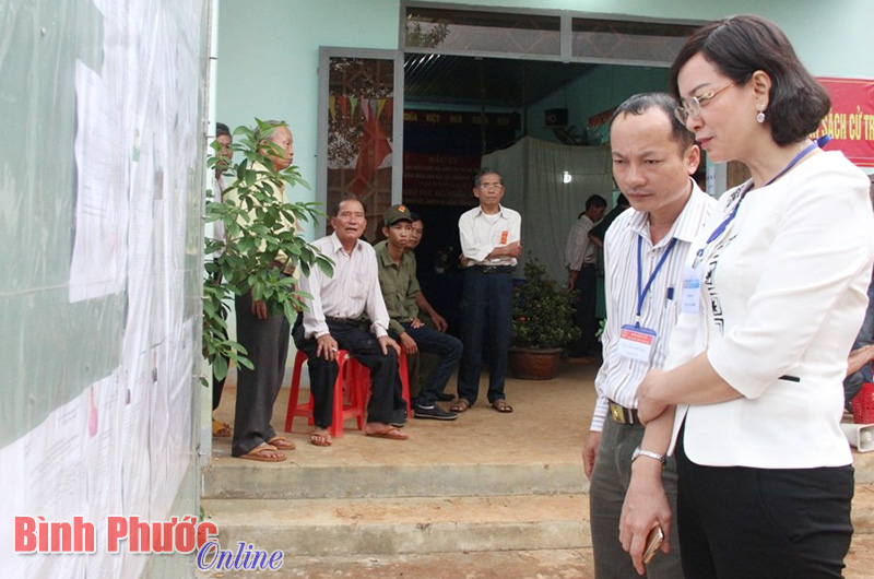 Trưởng ban Tuyên giáo Tỉnh ủy Trần Tuyết Minh kiểm tra việc niêm yết tiểu sử ứng cử viên tại thôn 3, xã Đoàn Kết 