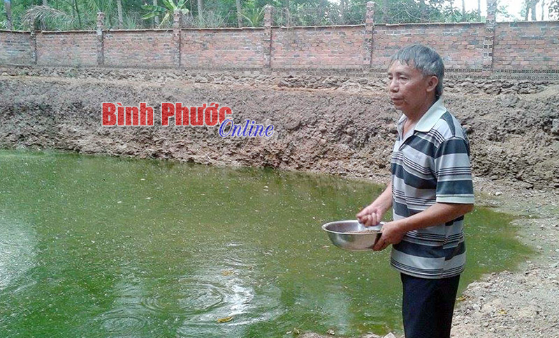 Đỉnh điểm mùa khô 2016, ao nhà ông Trần Văn Tính có 2m nước cứu nguy cho nhiều vườn cây trong thôn