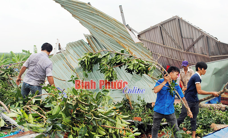 Đoàn viên thanh niên giúp nhân dân dọn nhà bị cây đổ đè sập hoàn toàn 