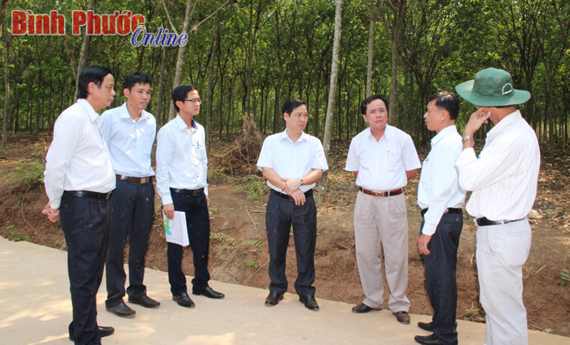 Lãnh đạo huyện Hớn Quản kiểm tra thực tế ở Thanh Bình để chỉ đạo kịp thời trong xây dựng NTM