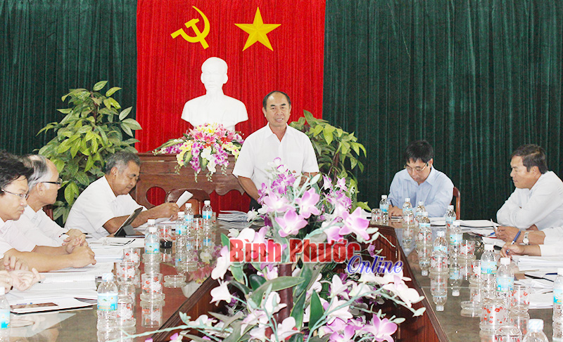 Ph&oacute; chủ tịch thường trực HĐND tỉnh Nguyễn Tiến Dũng ph&aacute;t biểu tại buổi l&agrave;m việc