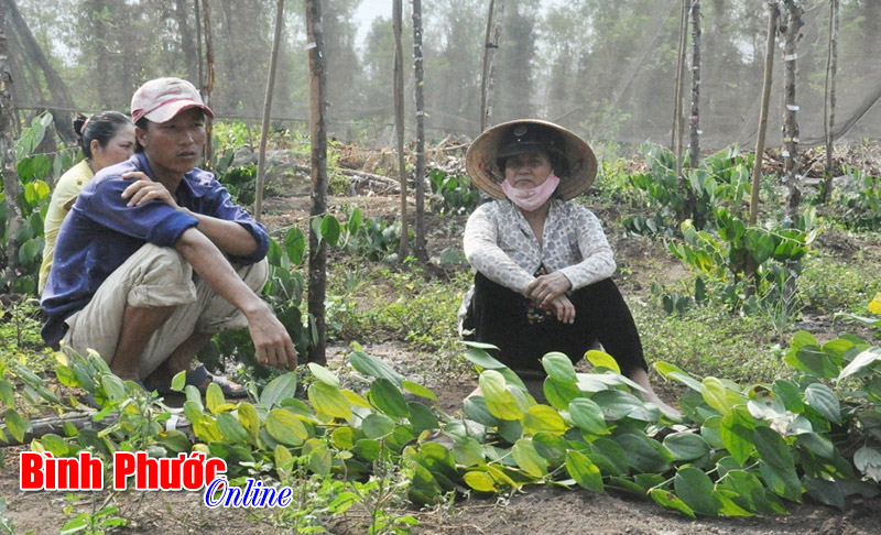 Nơi cơn lốc đi qua