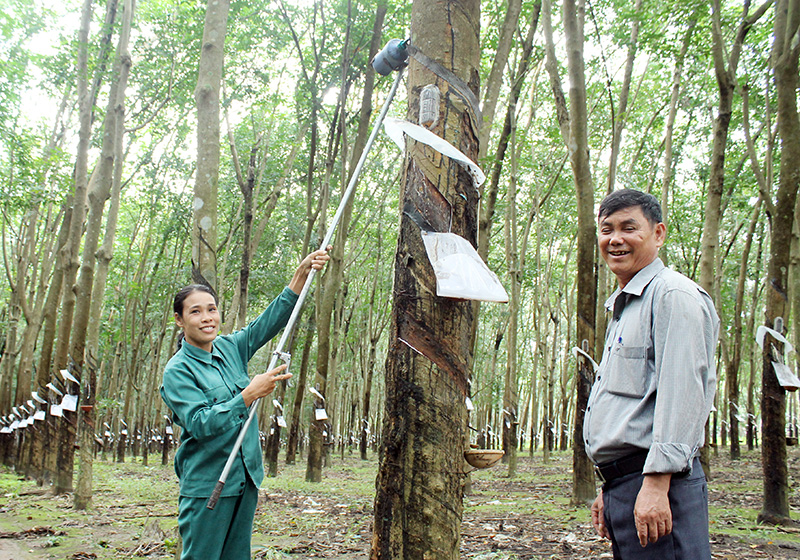 Nhà sáng chế là công nhân