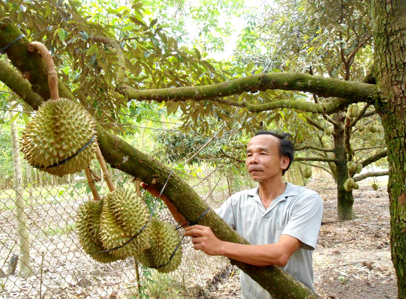 Đất ít cũng có thể làm giàu