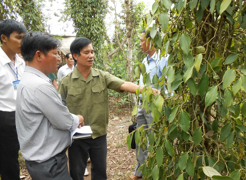 Lộc Ninh: 8 tháng, thiên tai gây thiệt hại hơn 1 tỷ đồng