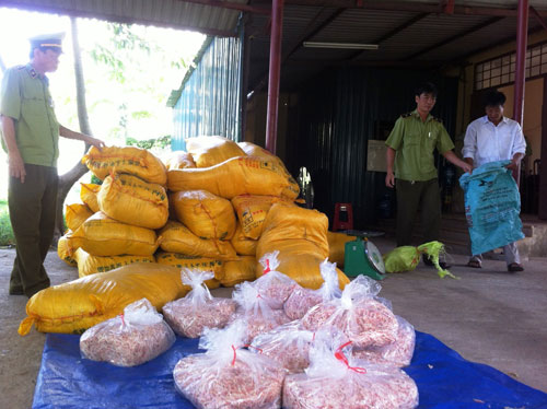 Ph&aacute;t hiện 1,5 tấn mực kh&ocirc; &ldquo;c&oacute; độ đ&agrave;n hồi cao&rdquo; 2