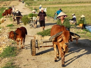 Về thăm Nghệ An - Những miền quê “tốt đời đẹp đạo” - Binh Phuoc ...