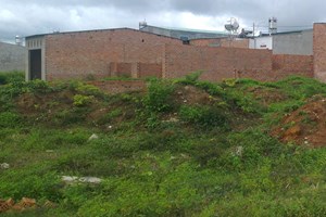 Ảnh minh họa. (Nguồn: TTXVN)