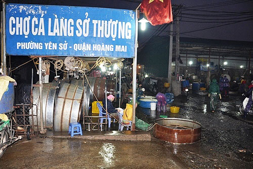 bạt ngàn cá chép tiễn ông Táo, giá cá thấp kỷ lục