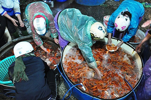 bạt ngàn cá chép tiễn ông Táo, giá cá thấp kỷ lục