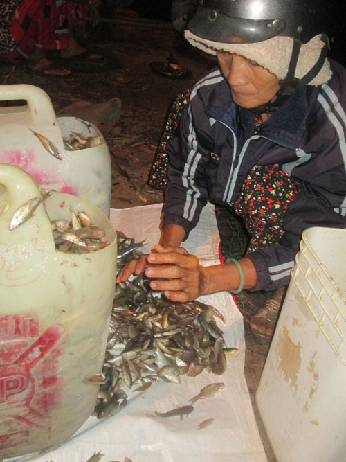 Bà Bảy tranh thủ tới chợ để mua mớ cá vụn về làm mồi cho đàn cá lóc do bà nuôi