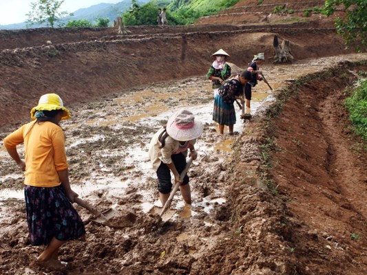 Chân dung nông dân Việt thời hội nhập với 5 cái nhất