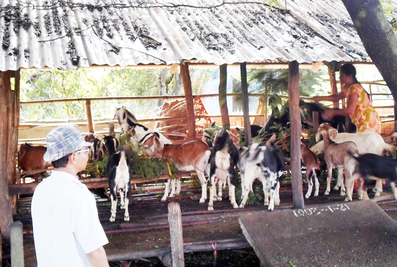 Người tạo cách làm ăn cho đồng bào Khơme