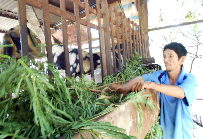 Khó khăn trong xây dựng nông thôn mới ở Tân Thành