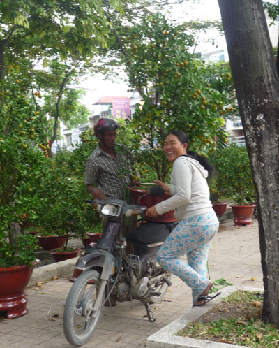 Kiếm tiền triệu mỗi ngày nhờ chở thuê cây cảnh tết 2