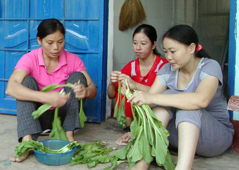 Gánh nặng mưu sinh thời bão giá