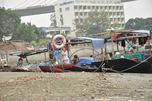 mùa xuân ở Sa Tô, Hạ Long