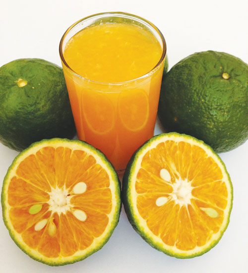 Nước cam chứa nhiều vitamin C, cải thiện sức khỏe phổi - Ảnh: Minh Khôi