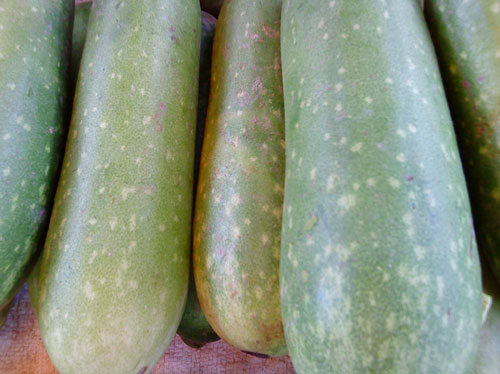 Bài thuốc chữa dị ứng thông thường 2