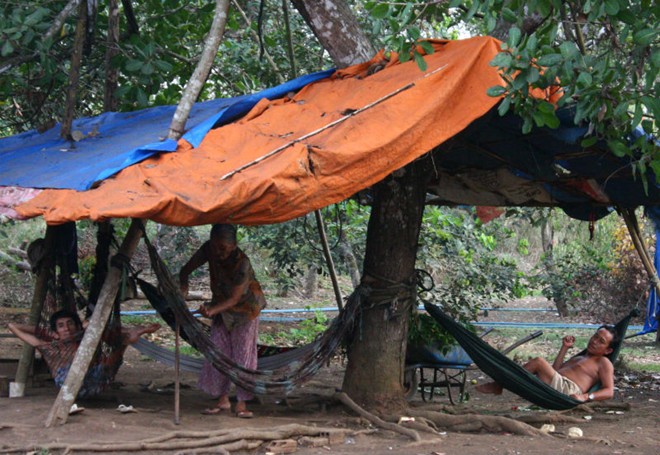 “Bây giờ ăn uống, ngủ nghỉ, gia đình tôi đều ở ngoài vườn hết, không thể về nhà được. Tôi đã quét rồi gom bọ đậu đen vào xịt thuốc sâu được cả vài chục ký rồi. Bây giờ chỉ chờ cơ quan chức năng hướng dẫn cách diệt loài côn trùng này”, ông Châu than thở. 
