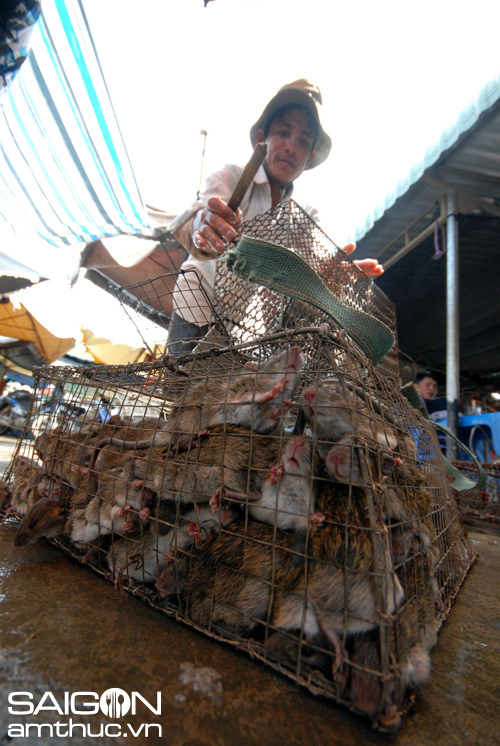 Mùa lũ đã hình thành chợ chuột Phù Dật ở huyện Châu Phú - An Giang giúp hàng chục lao động  nông thôn có việc làm từ nghề làm thịt chuột