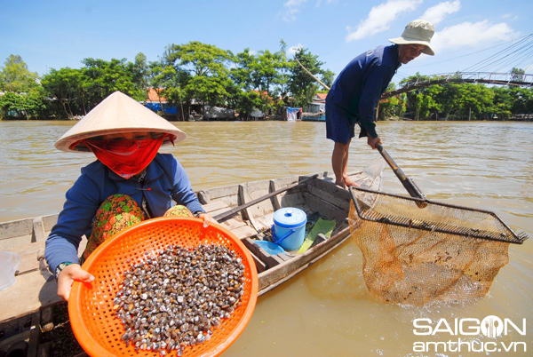 Vợ chồng anh Trương Văn Phong, ở xã Thường Phước Tiền, huyện Hồng Ngự – Đồng Tháp mỗi ngày  đi cào hến cho thu nhập trên 200.000-300.000đ/ngày