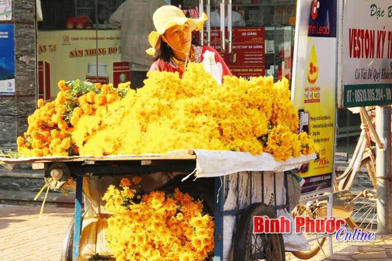 “Những nẻo đường hoa” - Bắt đầu từ ngày 22 tháng Chạp, hoa tươi đã tràn ngập nhiều con đường để phục vụ người tiêu dùng