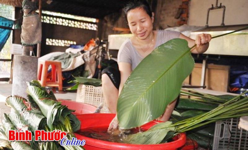 Chị Trần Thị Mừng cho biết: Năm nay lá dong hiếm, chị phải đặt hàng ở Lâm Đồng về làm. Trong hình, chị Mừng rửa sạch lá trước khi cắt thành khuôn. Để giữ cho lá được tươi, đảm bảo độ xanh, người dân phải ngâm lá dong