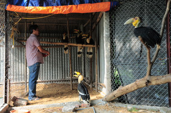 Nét đặc biệt của Vườn chim Việt là nhóm gây nuôi các loài đặc hữu, phục vụ công tác bảo tồn, nghiên cứu. Hiện một số vườn thú đã nhận được sản phẩm từ nhóm này để trưng bày và giới thiệu về tính đa dạng sinh học tại Việt Nam.