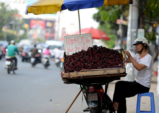 Hoa atisô đỏ không phải thần dược