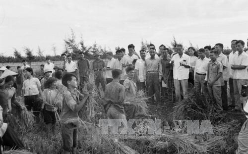 Thủ tướng Phạm Văn Đồng thị s&aacute;t đồng ruộng của nh&acirc;n d&acirc;n huyện Đan Phượng, tỉnh H&agrave; T&acirc;y (7/1971)