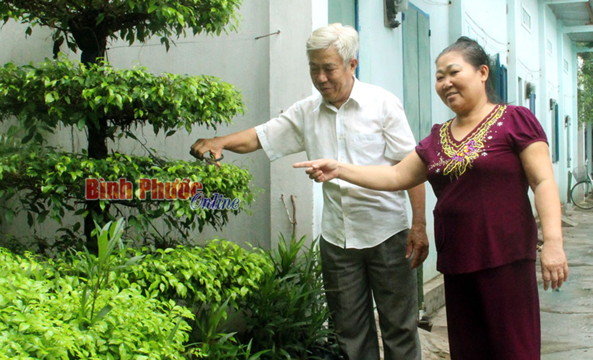 Vợ chồng ông Nguyễn Văn Công - bà Bùi Thị Tươi chăm sóc cây cảnh tại nhà