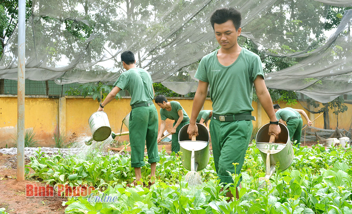 Tiểu đoàn Huấn luyện