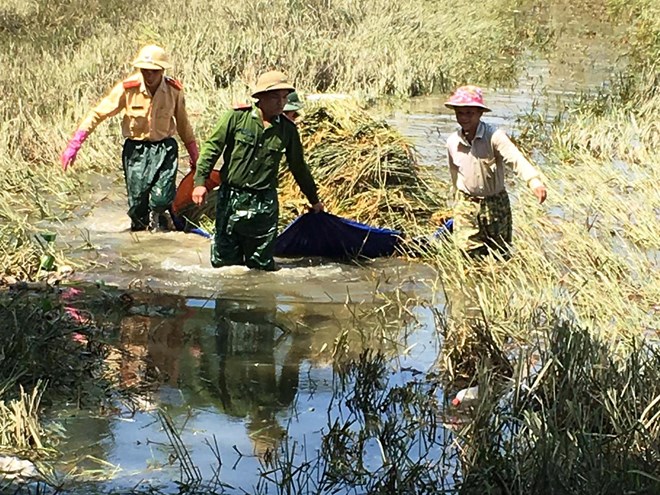 Cảnh sát cứu lúa giúp dân